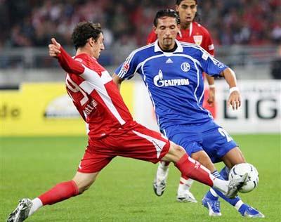 蒂的精细化 蒂的精细化